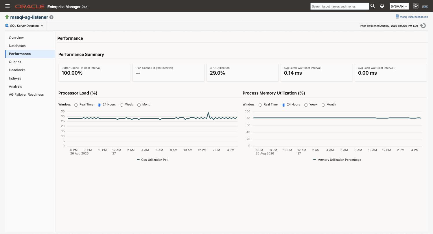 The Performance page, showing the summary tiles and the processor and memory charts