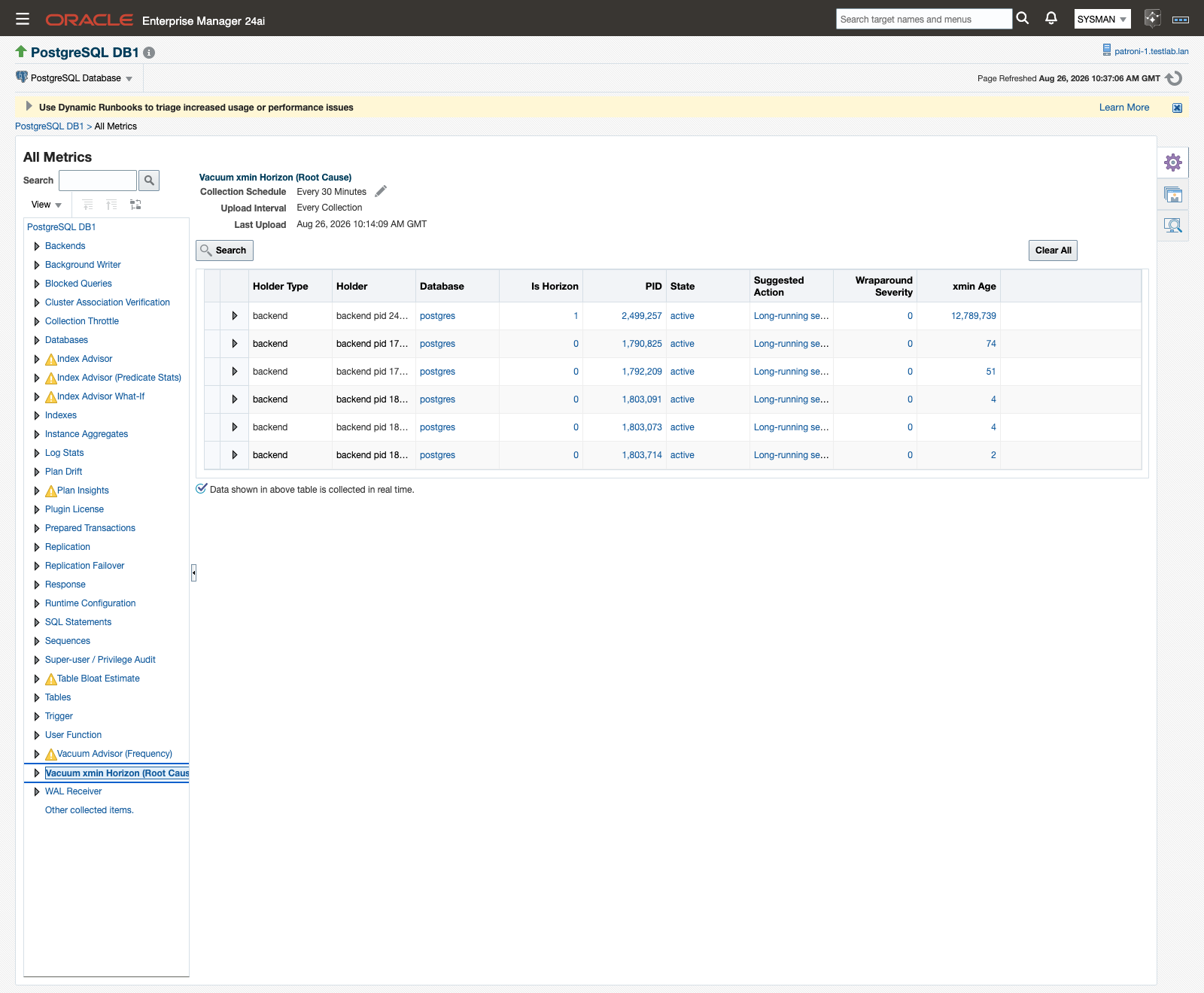 Metric and Collection Settings showing the Vacuum xmin Horizon thresholds