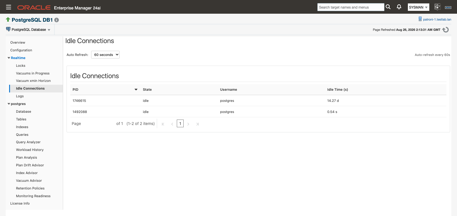 The Idle Connections page listing PID, state, username, and idle time for each idle session