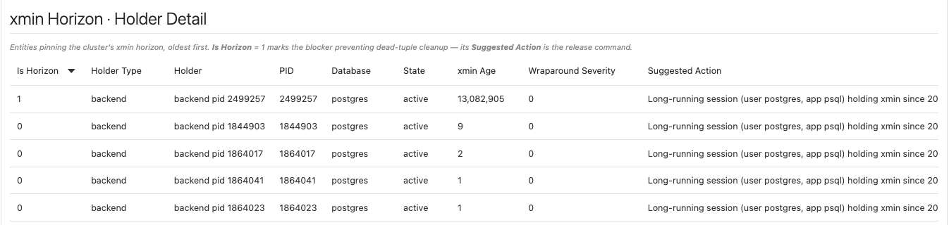 The xmin Horizon holder table with the blocking session first and its release command in Suggested Action