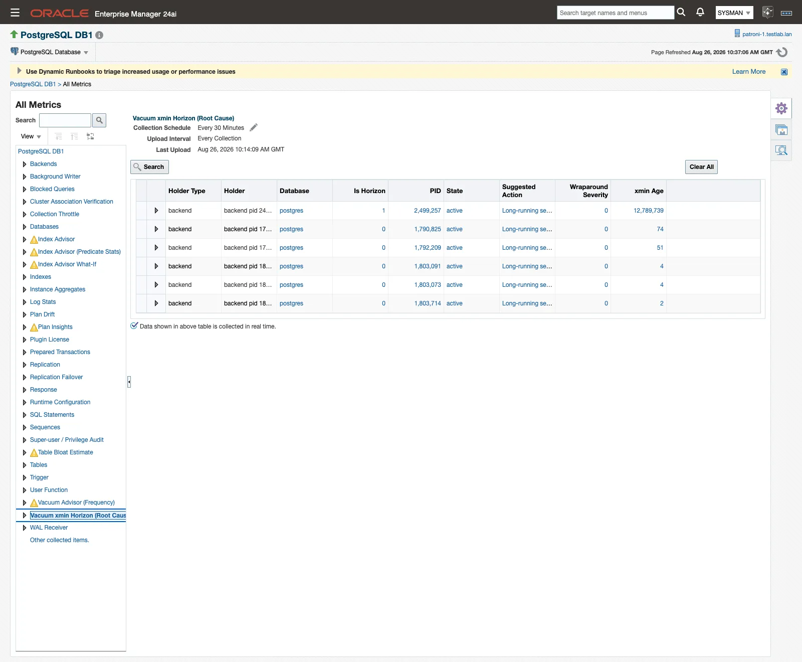 Metric and Collection Settings showing the Vacuum xmin Horizon thresholds