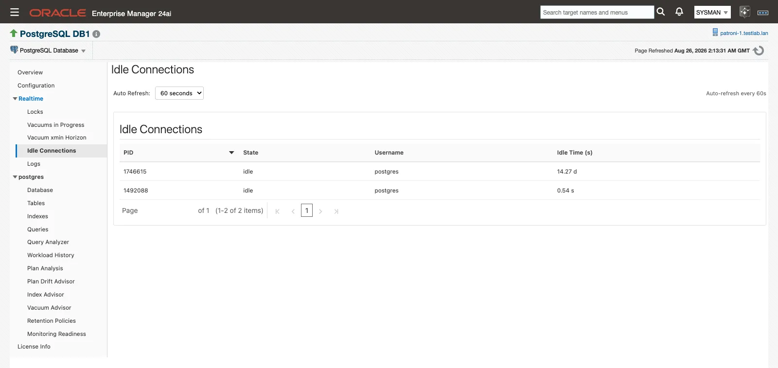 The Idle Connections page listing PID, state, username, and idle time for each idle session