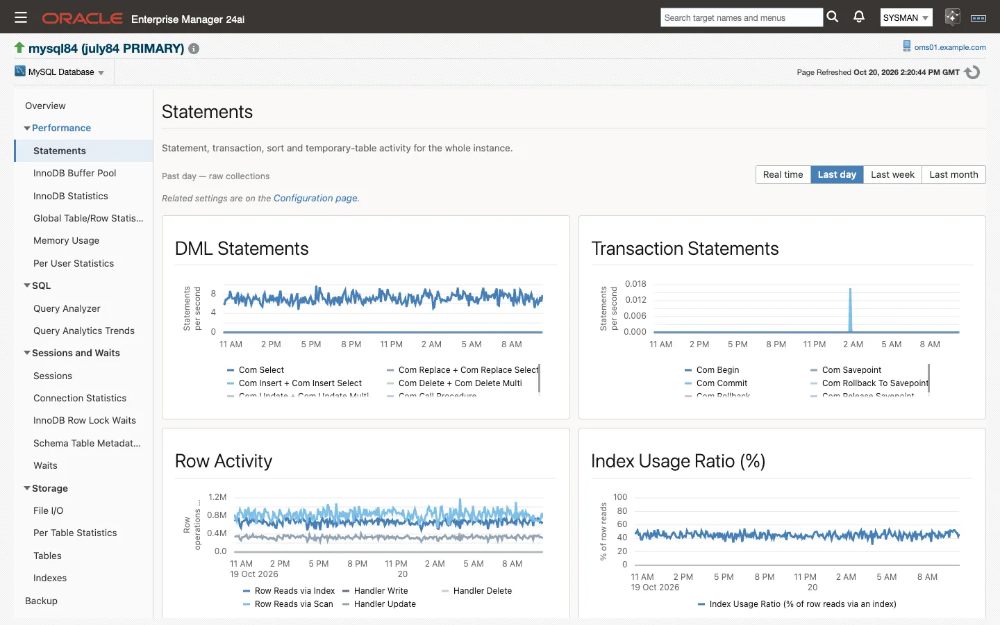 The Statements page: DML Statements, Transaction Statements, Row Activity and Index Usage Ratio charts over the last day